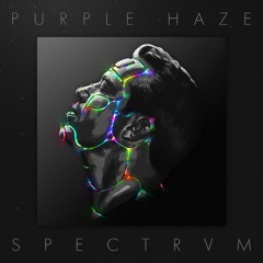 Purple Haze Ft. BONUS check - Light Me Up [OUT NOW]
