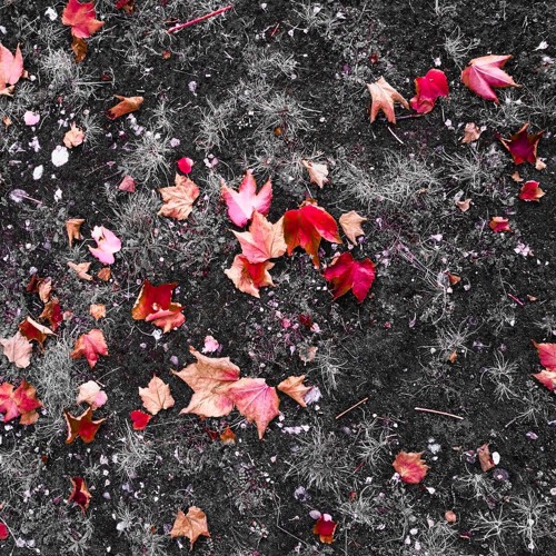 Juli Lee - My Current Mood Podcast Autumn Walk 17