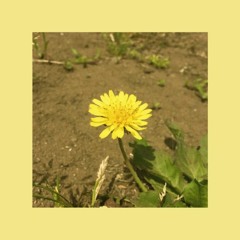 OOHYO - Dandelion (민들레 ) (Full Ver.)