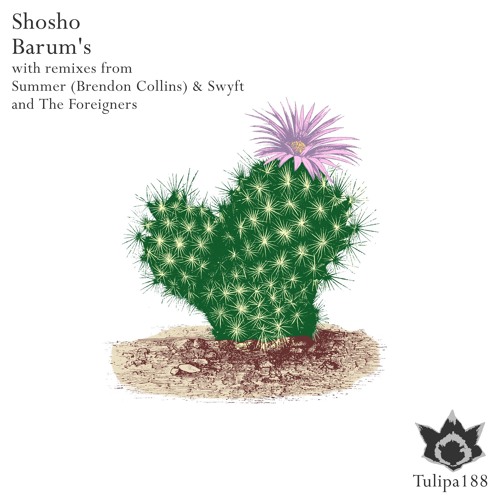 Shosho - Barum's (Summer & Swyft Remix) - OUT NOW