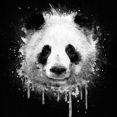 Rodman Shaq - MAN'S NOT HOT ( Panda Remix )