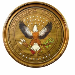 Working Together: Challenge & the Tompkins County Clerk's Office
