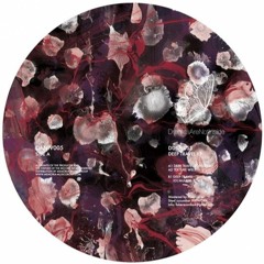 Premiere : Dubfluss - Deep Travel (iO Mulen Remix) (DANIV005)