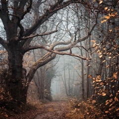 Autumn 2017