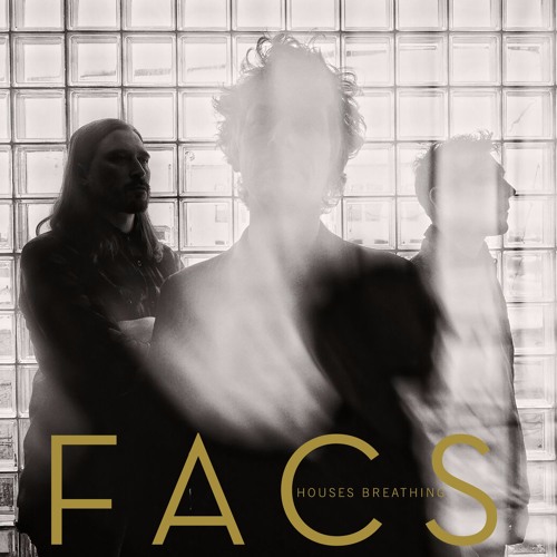 FACS "Houses Breathing" (Trouble In Mind Records)