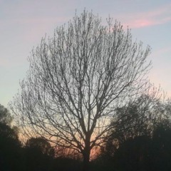 Meander - 7 - Tadada Tada Dada