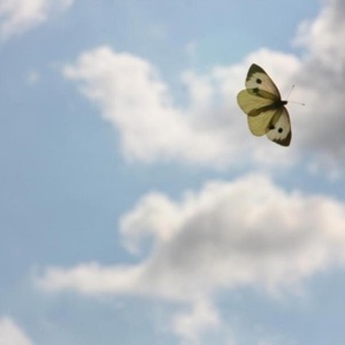 Butterfly Up In The Sky By Ross Colon On Soundcloud Hear