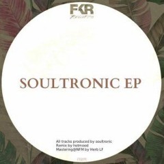 Soultronic - A Day At The Beach [FKR Records] [MI4L.com]