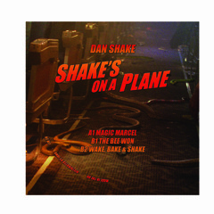 Premiere: Dan Shake 'Magic Marcel'