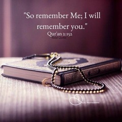 سورة الزمر القارئ عمر شلبي