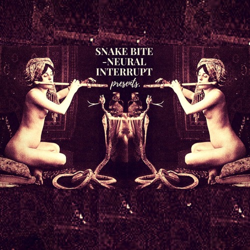 Neural Interrupt - SNAKE BITE