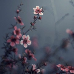 المساء - إيليا أبو ماضي