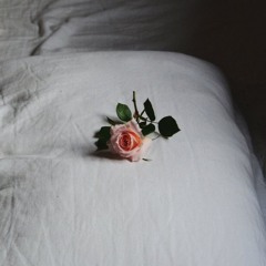 everyday 86 (October 9 17)