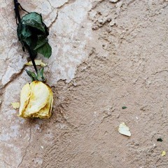 استريحي - أمل دنقل