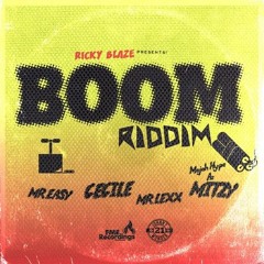 Indie Gal More Than You [Remix By Dj Yoko] [Boom Riddim] - Cecile Ft Mr Lexx
