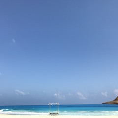 إلى الأبد شوق قلبي شمسي