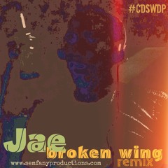 Broken Wing (Remix)