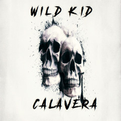 Wild Kid Ft.KVROZ, PARDOXX,SVNTOZ,Weedz Vs Vini Vici,N3VSKY,1Hard - Smash - Calavera (Original Mix)