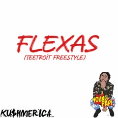 FLEXAS (Teetroit Freestyle)