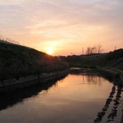 カワノホトリーカワノホトリー