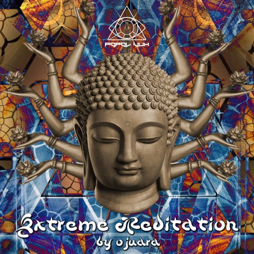 Praying For The Cure 208 - V.A Extreme Meditation - Popol Vuh Recs