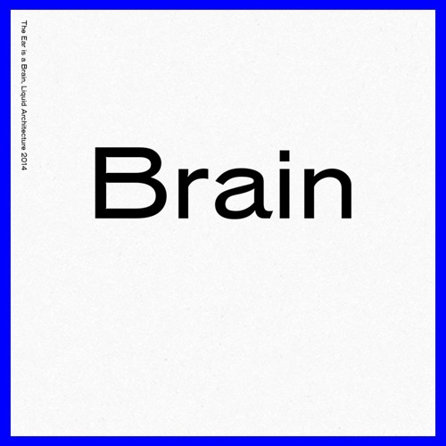 The Ear Is A Brain