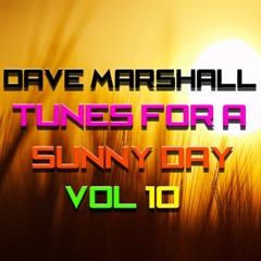 Dave Marshall - Eclectic Mix Vol 10 - Tunes For A Sunny Day