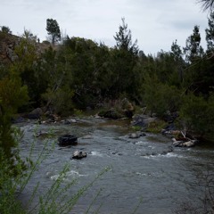 Pine Island Reserve - 8th of October 2017