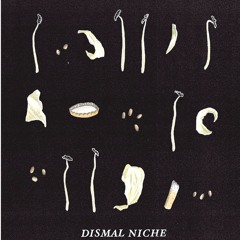 Dismal Niche Festival 2017