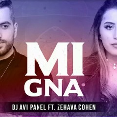 Dj Avi Panel ft Zehava Cohen - Mi Gna