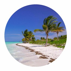 PALMS008 // X-Coast + DJ Boring - Yucatán Channel EP