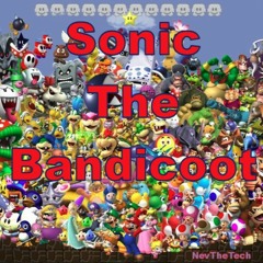 Sonic The Bandicoot