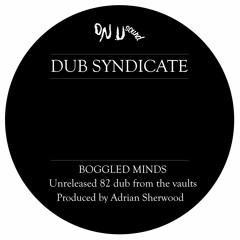 PREMIERE: Dub Syndicate - Boggled Minds [On-U Sound]
