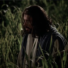 Why Does Nephi State that We Are Saved by Grace “After All We Can Do"? #371