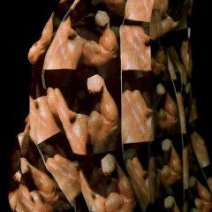 DJ GÄP - Torn Bicep