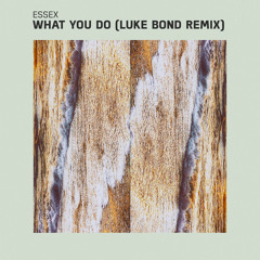 Essex - What You Do (Luke Bond Remix)