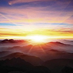 Buur & Wille - Sunrise: Social Media-morgen