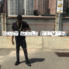 Ric Hundiee - Never Would (Ric Mix)