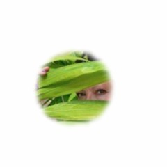 cursed teleprompter - tuna fey's tina fish