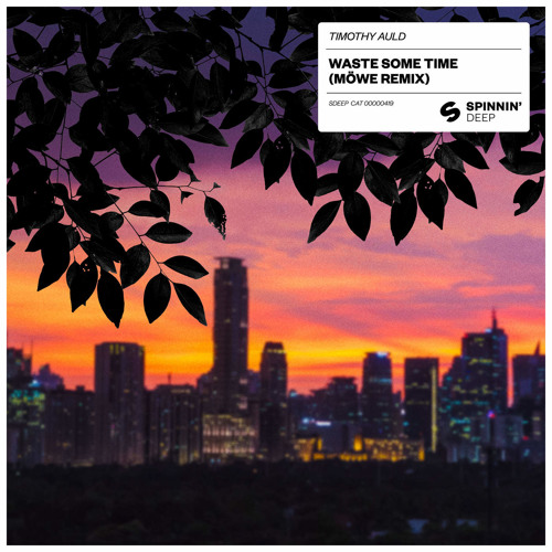 Timothy Auld - Waste Some Time (MÖWE Remix)