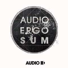 Andreas Kreutz - Audio IDin - Norm IEC98