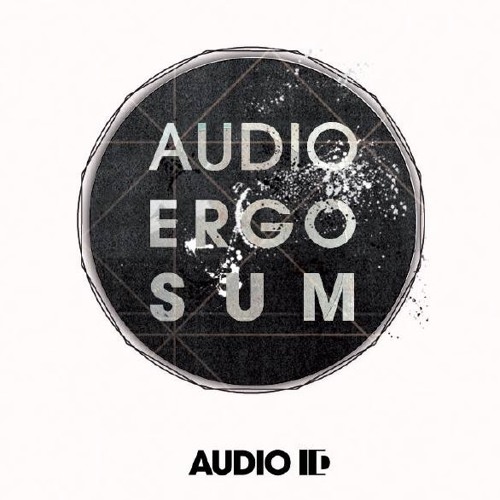 Andreas Kreutz - Audio IDin - Norm IEC98