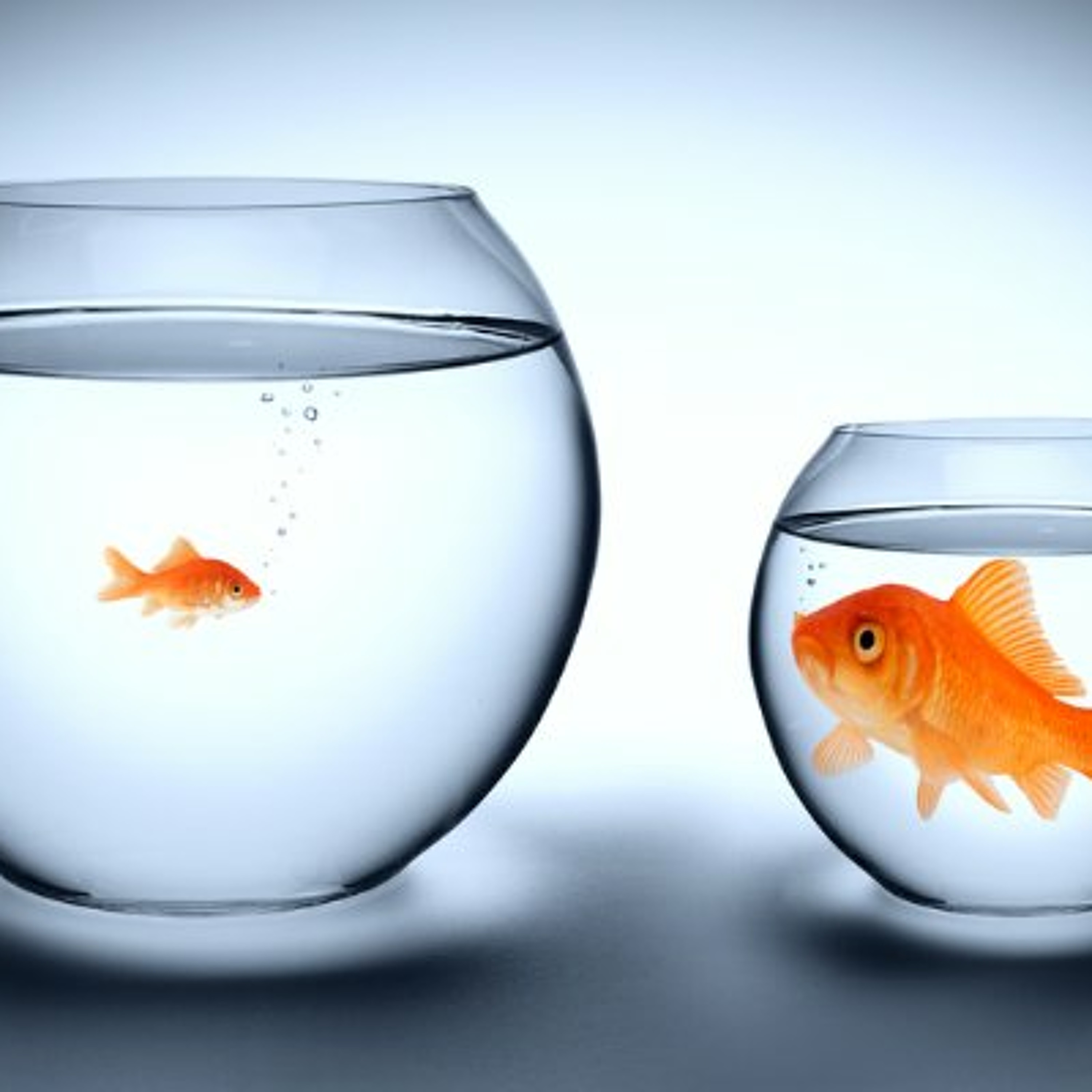Are You a Big Fish or Small Fish in Your Pond | Private Money Minute #153 episode artwork
