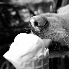 Petr Soukup feat. Karel Fořt - My už dávno spíme