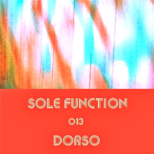 Sole Function 013