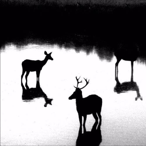Sandwell District - Falling The Same Way (Regis Mix)
