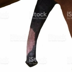 Test 04 Feat Stouille