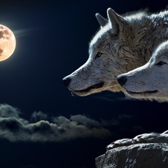 Nightcore