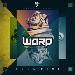 Soul Pimp - Warp - Out now on Subdivision Audio