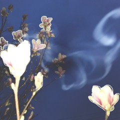 Leona Lewis - Bleeding Love (Terrsyson Remix)